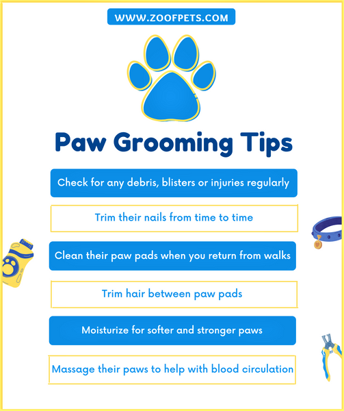 Dog Paw Grooming Tips