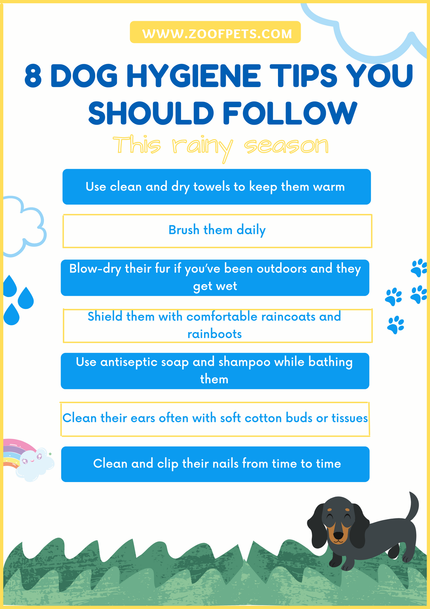 Dog hygiene tips