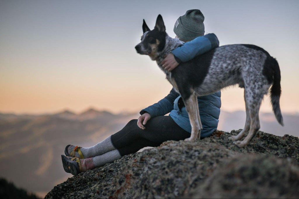 Dog and human on a mountain