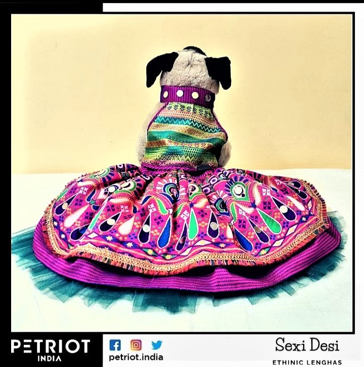 Pug in Chanya Choli Back