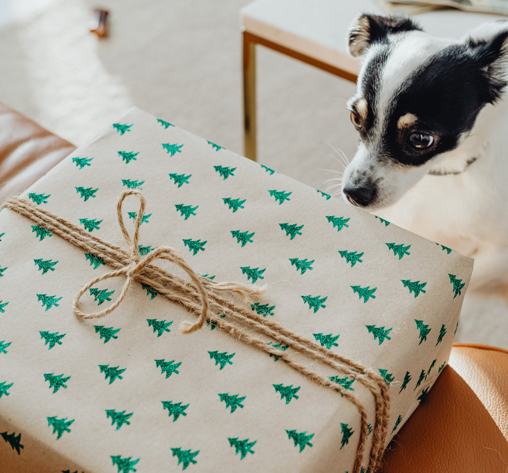 Dog Subscription boxes