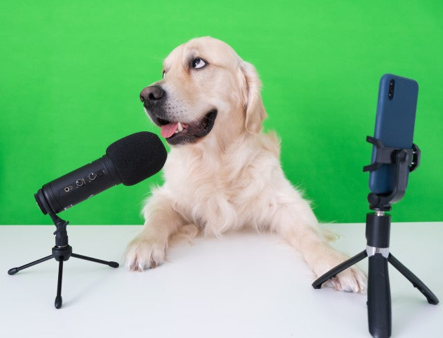 Dog speaking in mic- Podcast