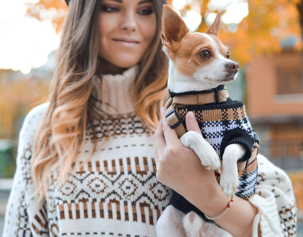 Dog and Girl wearing sweaters- Winter clothes