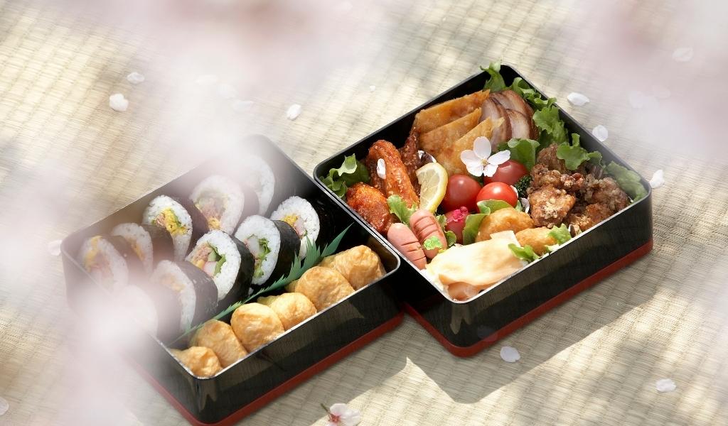 bento dégusté sous un cerisier en fleur