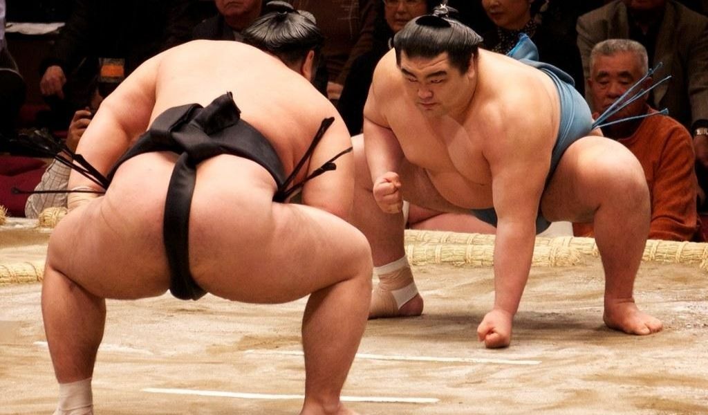 SUMO GONFLABLE ADULTE : le sport de lutte japonais en costume