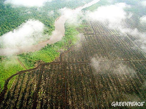 Aerial-view-of-Riau-C-Greenpeace