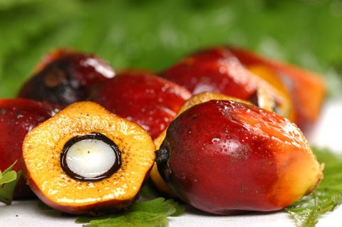 palm-oil-fruit