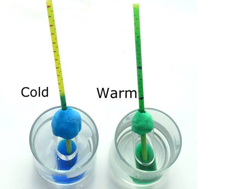 Make a Thermometer