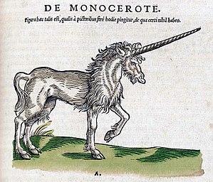 real unicorn bible photo