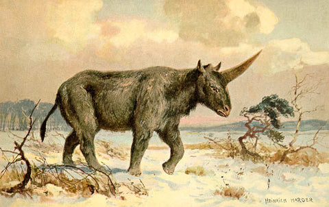 un animal licorne noir dans la bible testament