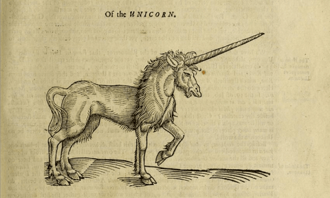 picture of drawing of a unicorn in the bible