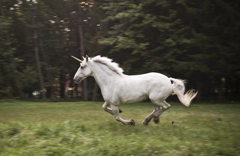 real galloping unicorn photo