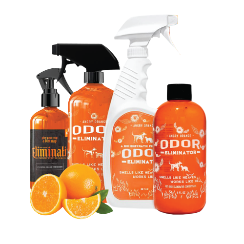Angry Orange 20 oz Éliminateur d'odeurs pour animaux de compagnie prêt à  l'emploi Éliminateur d'odeurs d'animaux 