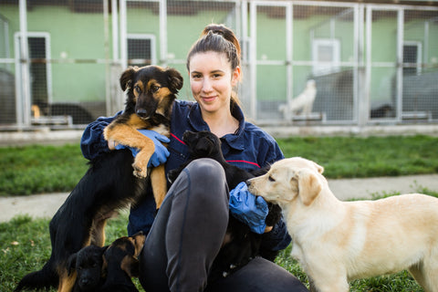 How Animal Shelters Can Be More Sustainable