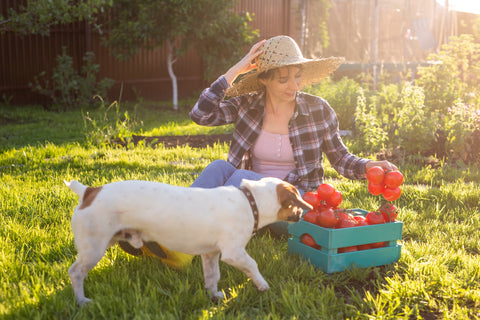 how to be eco-friendly with your new pet