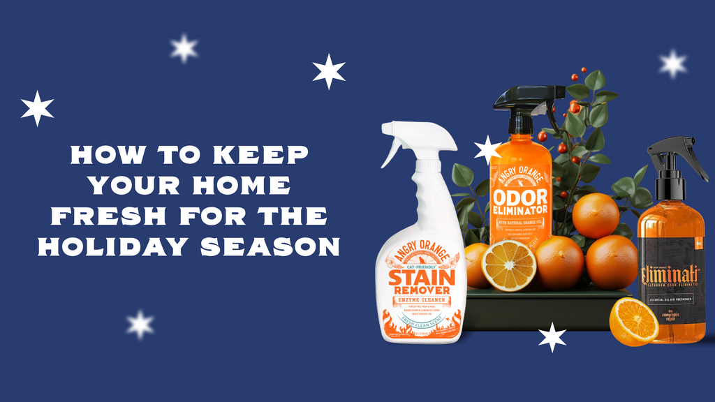 How to keep your home fresh for the holiday season