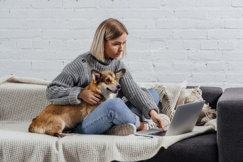 Woman sitting on the couch with her dog in her arm on the computer