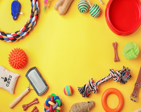 dog toys on a yellow background