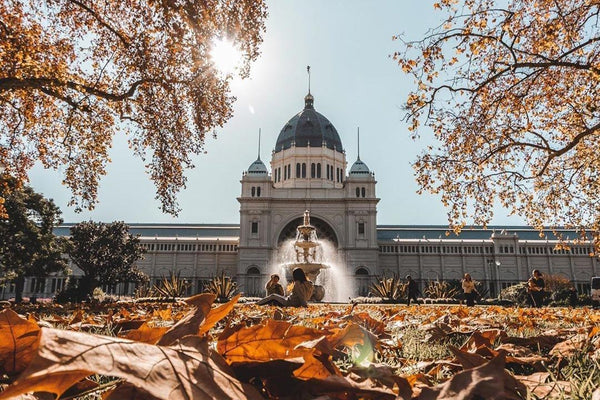 Eating a picnic hamper at Melbourne's Carlton Gardens in Autumn