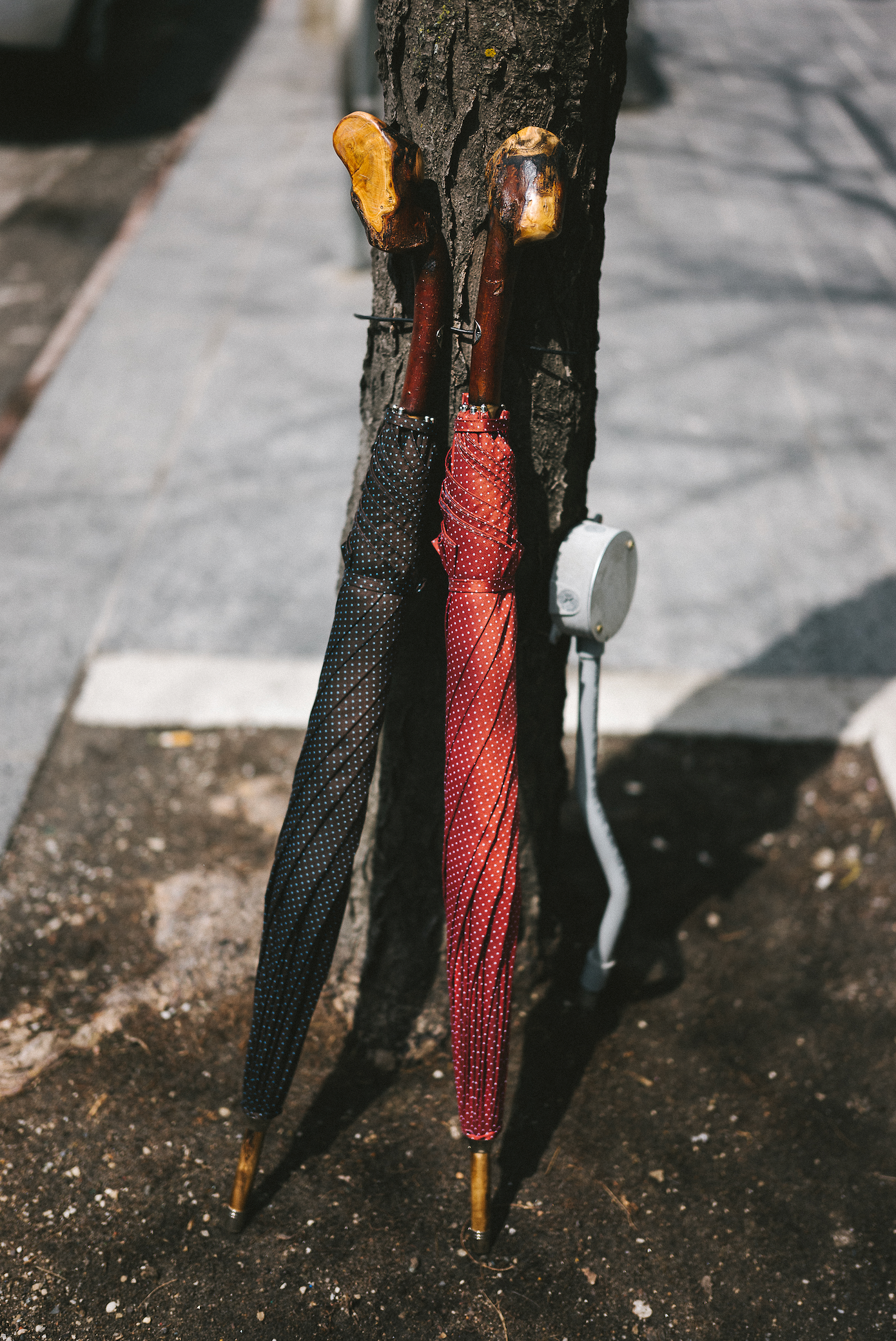 Handcrafted Italian Chestnut Root Umbrella - Red Dots