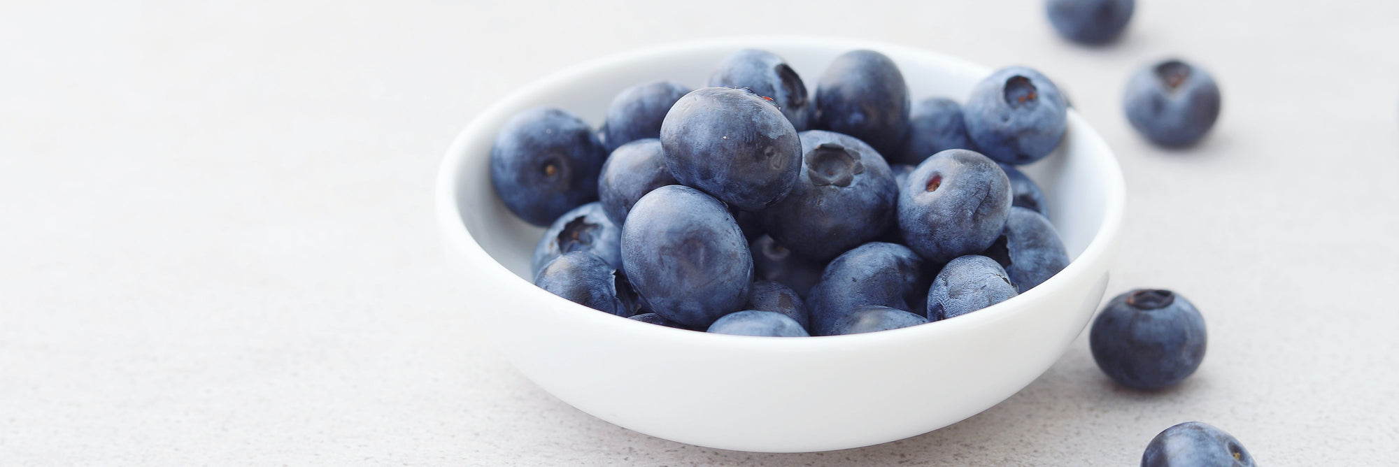 are fresh blueberries bad for dogs