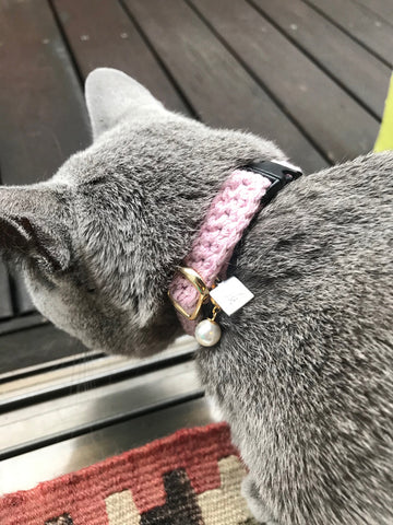 cats wearing organic cotton collar