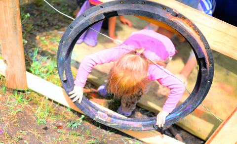 Color Powder Party Obstacle 