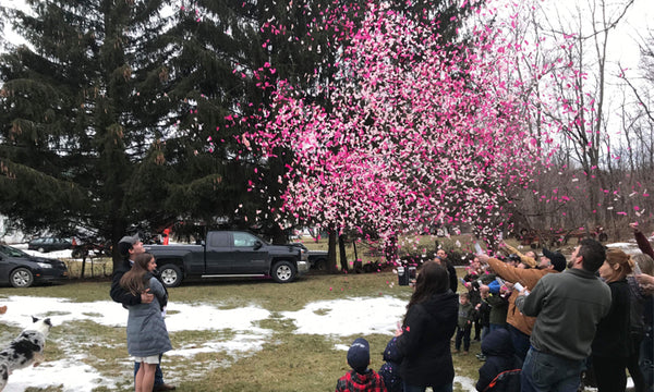 Snow Confetti