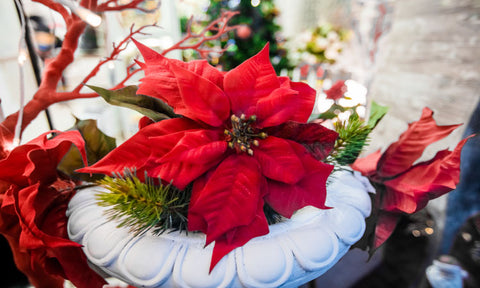 poinsettia used for a winter wedding