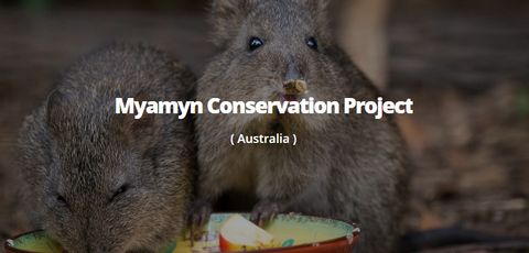 Conservation Project - Us and The Earth