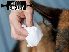 A Cure In Your Cabinet Apple Cider Vinegar On Dogs The Dog Bakery