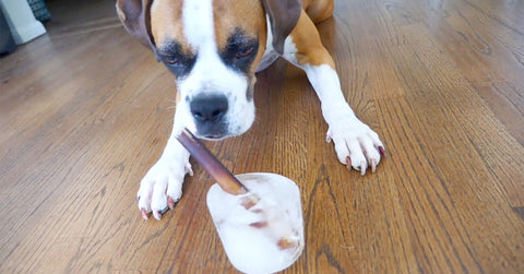 dog treats to keep them busy