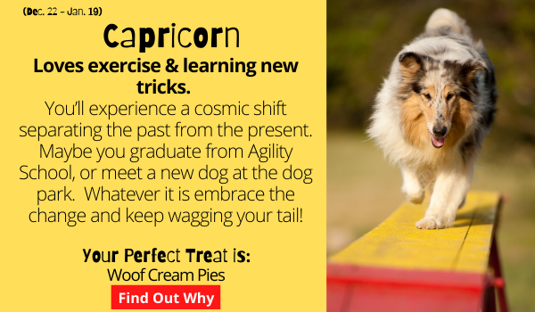 Capricorn (December 22 - January 19) The Capricorn Pooch loves exercise, being useful, and learning new tricks. At the beginning of the month, you’ll experience a cosmic shift separating the past from the present. Maybe you start eating a new kind of food, or graduate from puppy school, or meet a new group of dogs at the dog park.  Whatever it is embrace the change and keep wagging your tail!  Your Perfect Treat: PB & Yummy Bar. Find out why