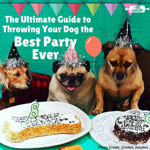 11 Doggie Themed Birthday Party Games Idea – The Dog Bakery