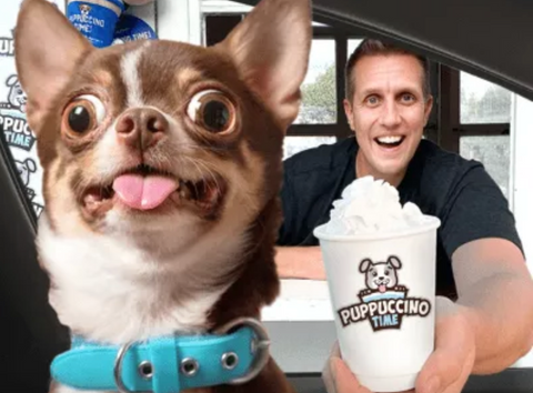 The puppy puppuccino