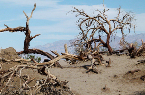 Death Valley