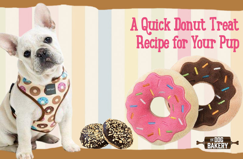 Donut Treat Recipe for Your Pup