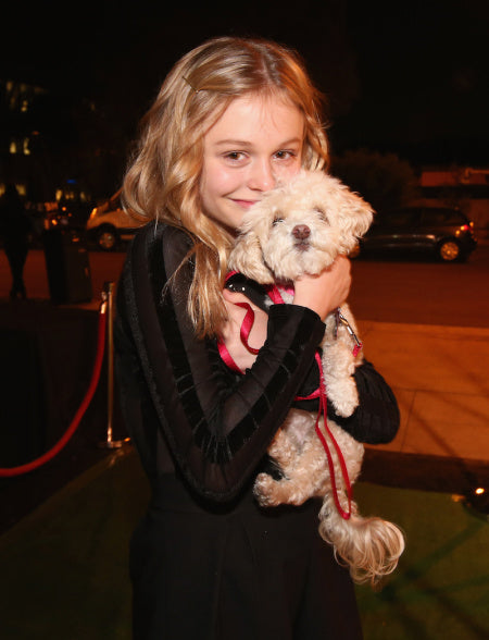 Photo by Christopher Polk/Getty Images for Dog For Dog