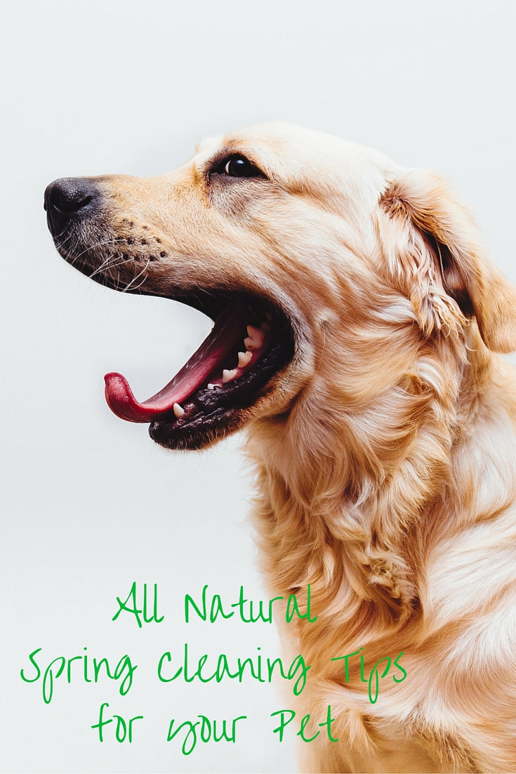 All Natural Spring Cleaning Tips for your Pet