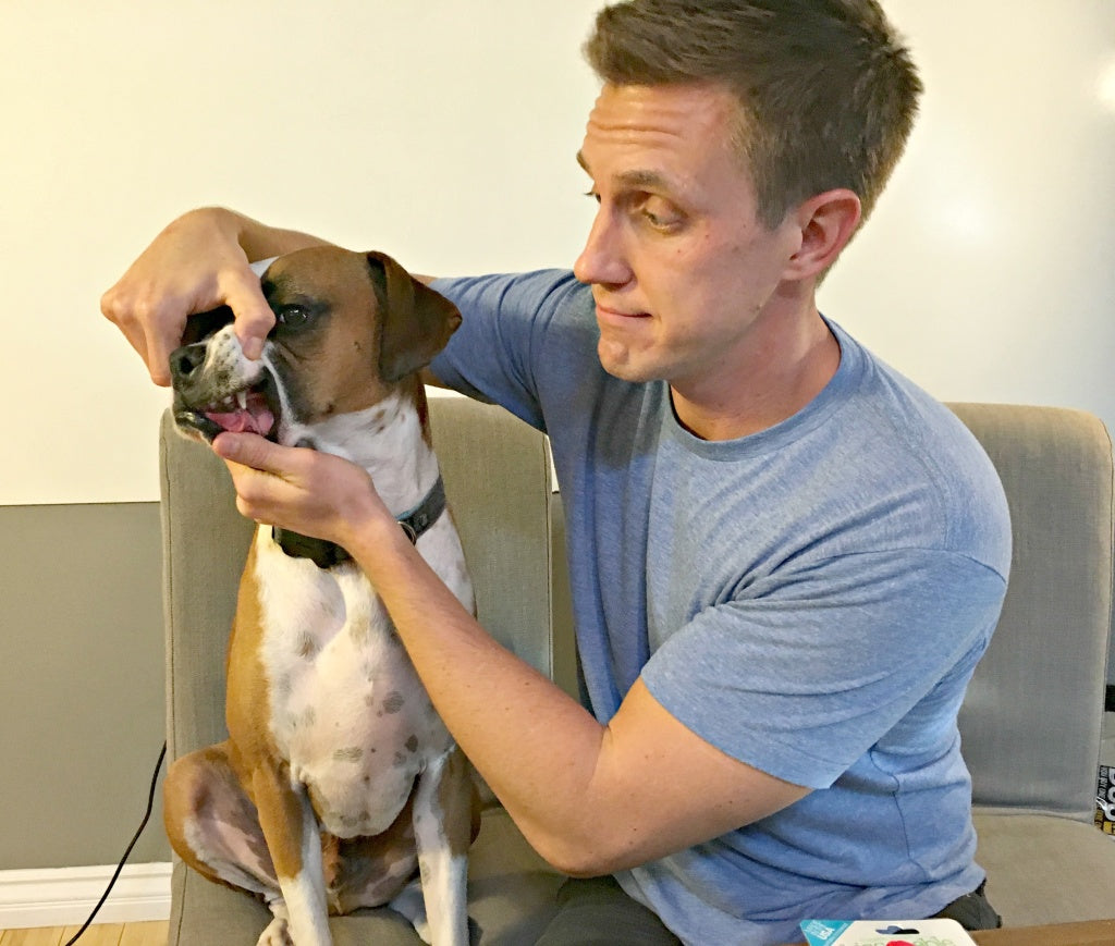 Flip Getting his Teeths Brushed 