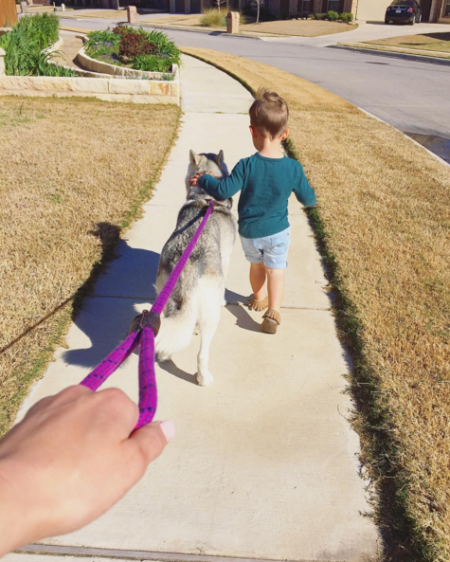 Spring cleaning for dog leashes 