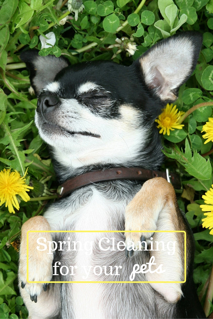 Spring Cleaning for your pets