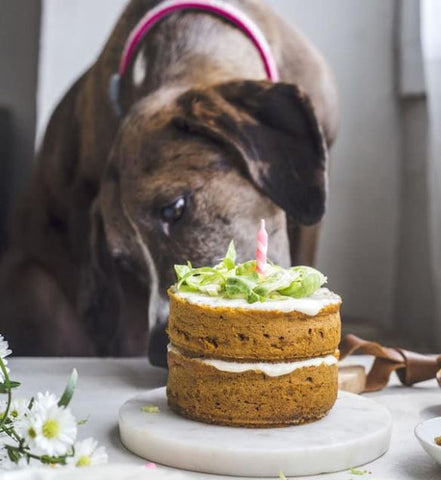 vegan dog cake