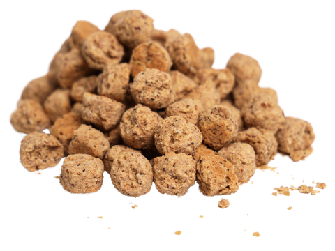 oatmeal cookies for dogs