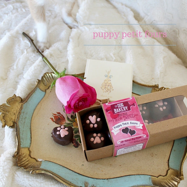 The Dog Bakery's Puppy Petit Fours - a box of "chocolates" made of dog friendly carob. 