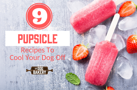 Pupsicles: Cool Dog Treat Recipes - Make Your Summer Fun!