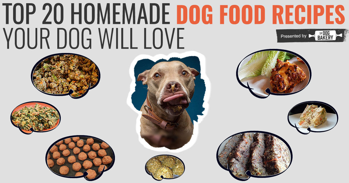 20 Ideas for Homemade Diabetic Dog Food Recipes - Best Diet and Healthy Recipes Ever | Recipes ...