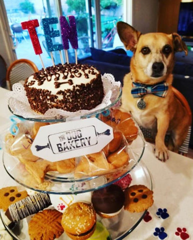an easy way to display treats for dogs is on a tiered plate