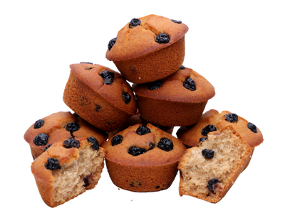 are blueberry muffins good for dogs