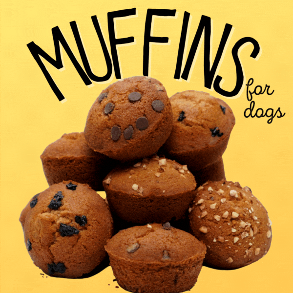 Image of Fall Muffins
